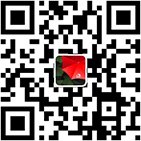 公开信息按发布时间滚动
